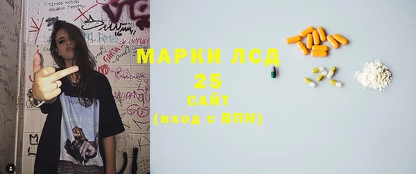 шишки Алзамай