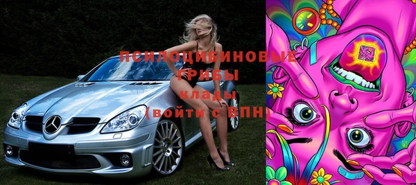 шишки Алзамай