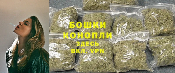 шишки Алзамай