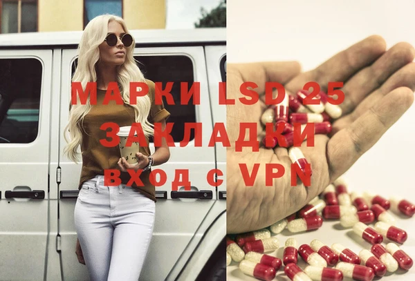 шишки Алзамай