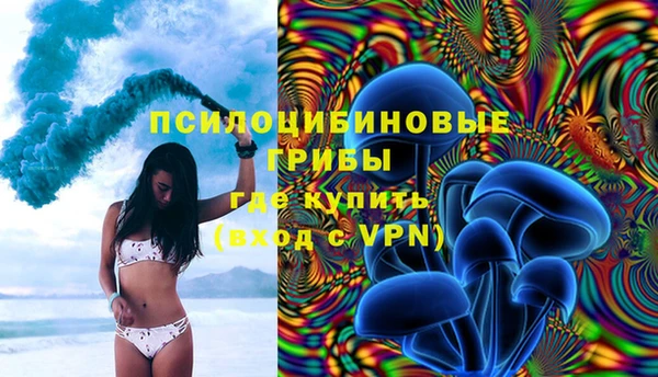прущие грибы Алексин