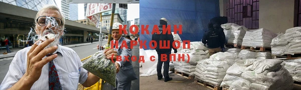 шишки Алзамай